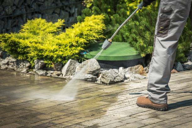 Best Gutter Cleaning  in Orosi, CA