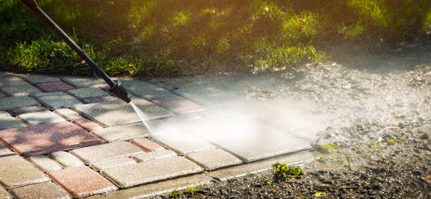 Best Solar Panel Cleaning  in Orosi, CA